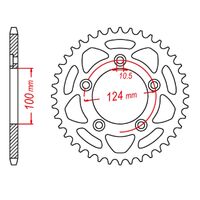 Standard Gearing Rear Sprocket 43T