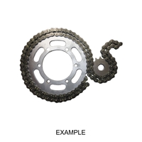 Chain And Sprocket Kit for Honda VT750 VT750D Shadow Chain Drive 2000 to 2003