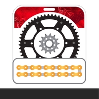STEALTH Chain and Sprocket Kit | Gold Chain | Black Stealth Rear Sprocket | 13/49T