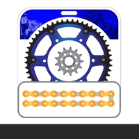STEALTH Chain and Sprocket Kit | Gold Chain | Blue Stealth Rear Sprocket | 13/48T