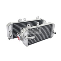 Set Radiator Kustom Hardware (17K-R139L & 17K-R139R)