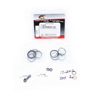 Front Brake Caliper Rebuild Kit