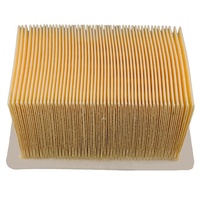 Champion Air Filter