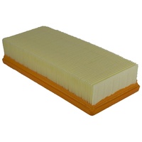 Champion Air Filter