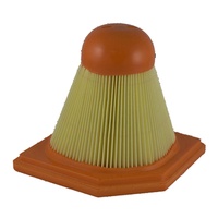 Champion Air Filter