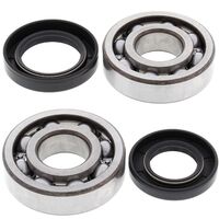 Crank Bearing and Seals Kit 24-1005
