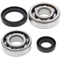 Crank Bearing and Seals Kit 24-1013