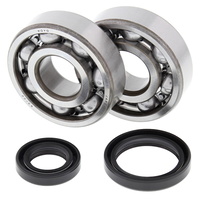 Crank Bearing and Seals Kit 24-1016