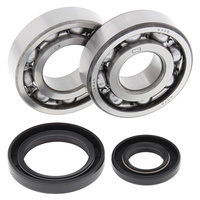 Crank Bearing and Seals Kit 24-1017