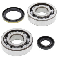 Crank Bearing and Seals Kit 24-1020