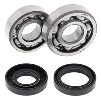 Crank Bearing and Seals Kit 24-1023