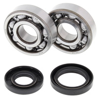 All Balls 24-1025 for Yamaha YZ125 YZ 125 2001-2004 Crankshaft Main Bearings MX