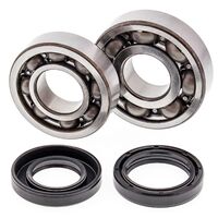 Crankshaft Main Bearings 24-1043