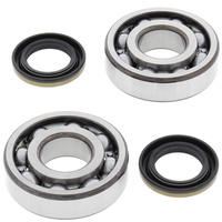 Crank Bearing and Seals Kit 24-1045