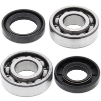 Crank Bearing and Seals Kit 24-1061