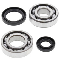 Crank Bearing and Seals Kit 24-1069