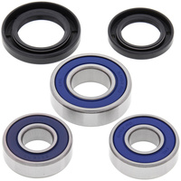 All Balls Wheel Bearing and Seals kit