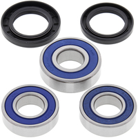 Rear Wheel Bearing Kit