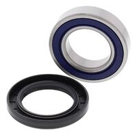 WHEEL BEARING KIT - INDENT 25-1118