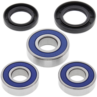 Rear Wheel Bearing Kit