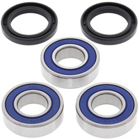 Rear All Balls Wheel Bearing and Seals kit