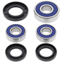 Rear All Balls Wheel Bearing and Seals kit