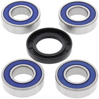 Rear All Balls Wheel Bearing and Seals kit