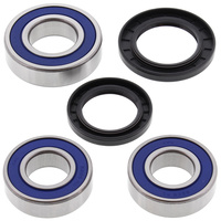 Rear All Balls Wheel Bearing and Seals kit
