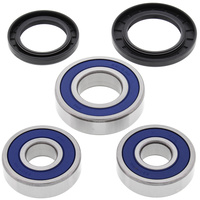 Rear All Balls Wheel Bearing and Seals kit