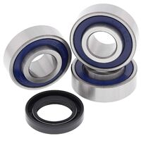 WHEEL BEARING KIT 25-1366