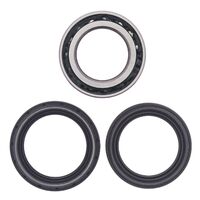 Rear Wheel Bearing Kit
