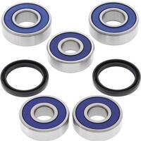 Rear Wheel Bearing Kit