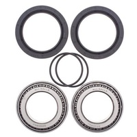 Rear All Balls Wheel Bearing and Seals kit