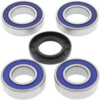 Rear Wheel Bearing Kit