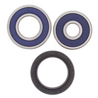 Rear Wheel Bearing Kit