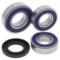 Rear Wheel Bearing Kit
