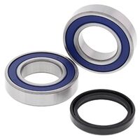 Rear Wheel Bearing Kit