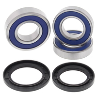 Rear Wheel Bearing Kit