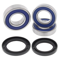 Rear Wheel Bearing + Seal Kit for BMW S1000R Naked 2014 2015 2016 2017 18