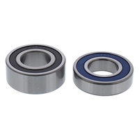 Rear Wheel Bearing Kit