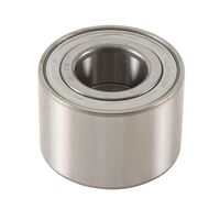 Rear Wheel Bearing Kit