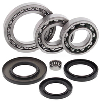 Rear Differential Bearing & Seal Kit - LT-F230 Only