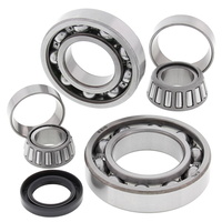 25-2038 Rear Differential Bearing Kit for Kawasaki KLF300B Bayou 1992-2004