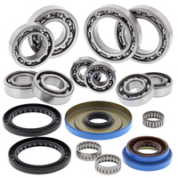 Rear Differential Bearing and Seal Kit