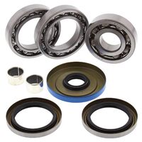 Rear Differential Bearing & Seal Kit