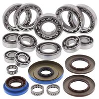 Rear Differential Bearing and Seal Kit