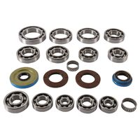 Rear Differential Bearing & Seal Kit