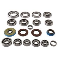 TRANSAXLE BEARING & SEAL KIT 25-2112