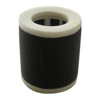 MIW Air Filter