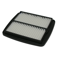 MIW Air Filter